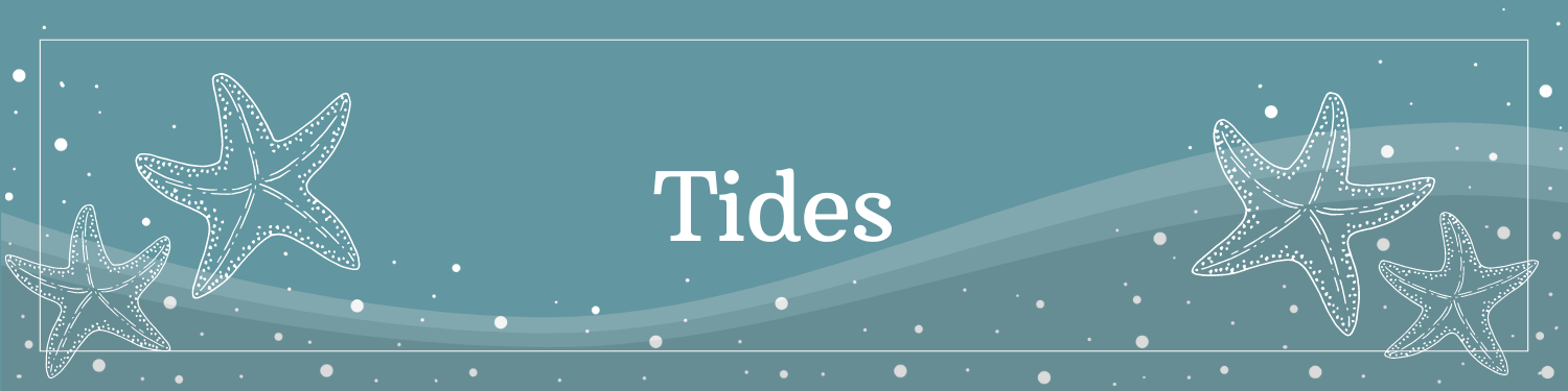 Unit 5: Tides Banner